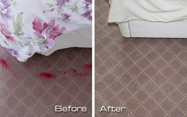 Removal of lipstick trodden into a client’s carpet