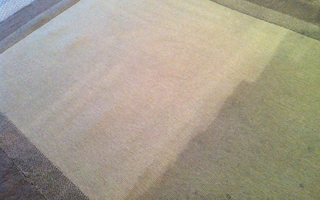 Back to what it was like when it was new; a rug half way through cleaning