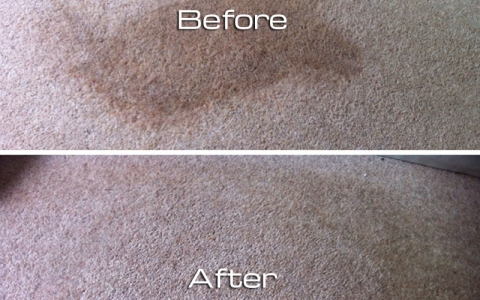 Coffee stain on carpet removed
