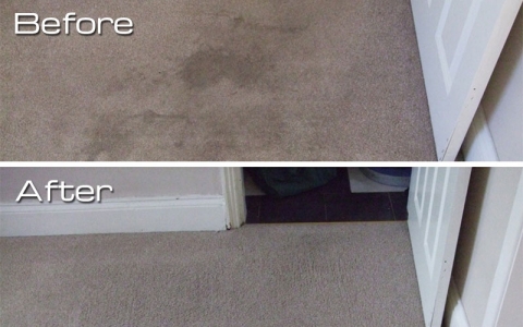 End of tenancy carpet cleaning