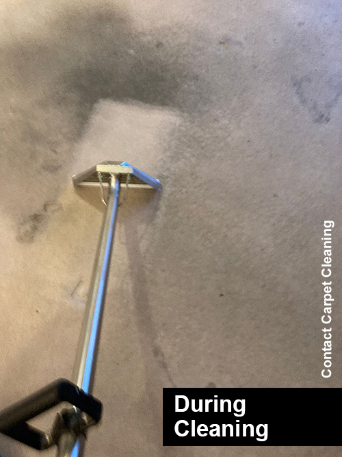 middlesbrough-house-carpet-clean-2022-during Middlesbrough house carpet cleaning - during